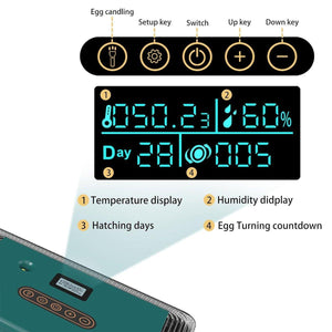 Reliable Fully Automatic Chicken Incubator