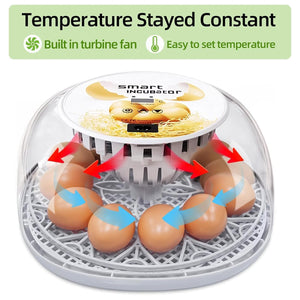 Automatic Small Egg Incubator for Chicken Pigeon