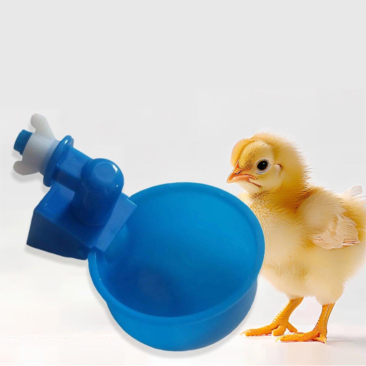 Automatic Chicken Water Dispenser Cups 6 Pcs Durable Poultry Hydration Solution