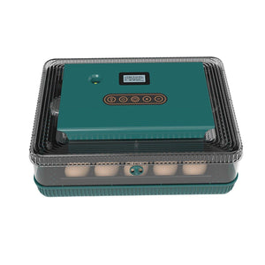 Fully Automatic Chicken Incubator with LED Display