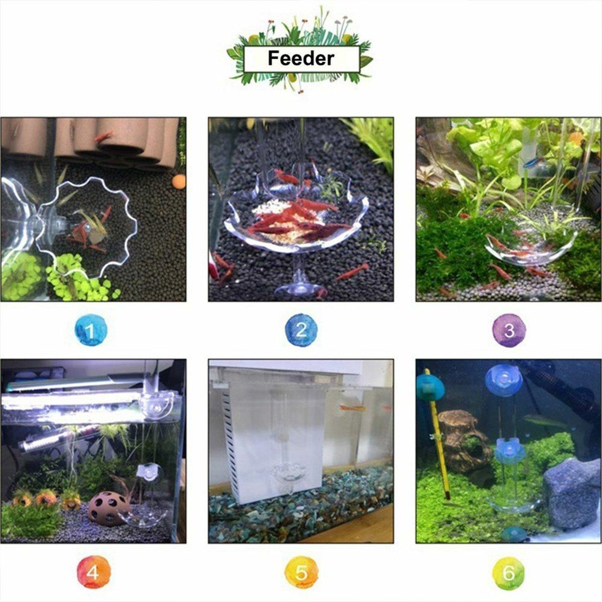 Aquarium Fish Tank Shrimp Food Feeder Clear Glass Feeding Dish Fish Tank Feeder