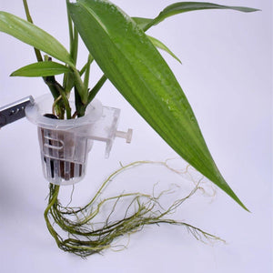 Adjustable Wall Mounted Aquatic Plant Cup for Emersed Plants and Water Grass