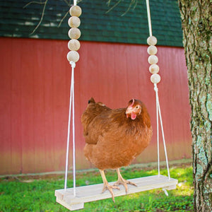 Durable Wooden Chicken Swing  Adjustable Rope & Handmade Beads