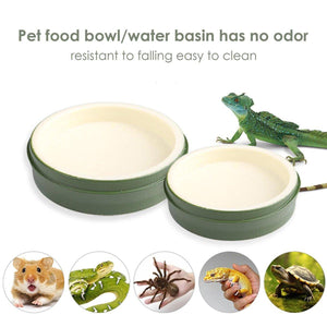 Reptile Feeding Dish Reptile Water Bowl