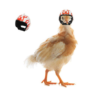 2PCS Mini Pet Chicken Helmet Protective Headgear Set