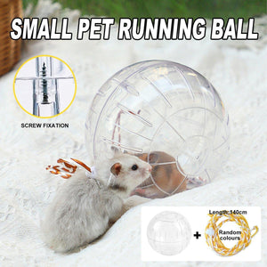 Durable hamster wheel with leash for small pets