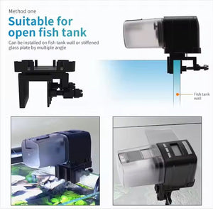 Automatic Fish Feeder Intelligent Control