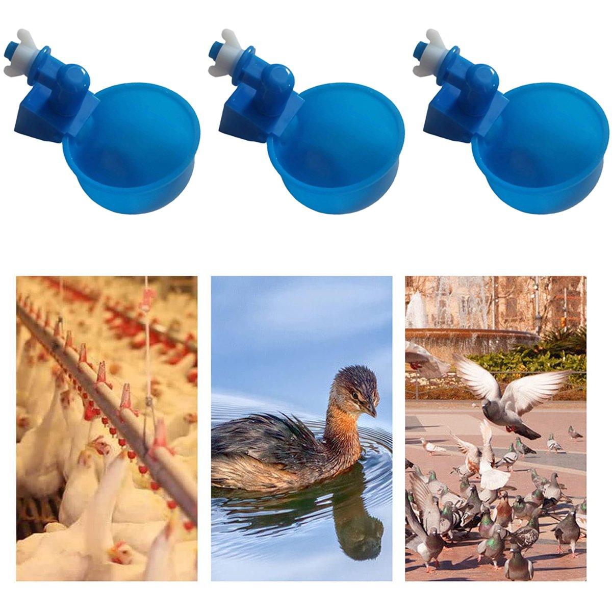 Automatic Chicken Water Dispenser Cups 6 Pcs Durable Poultry Hydration Solution