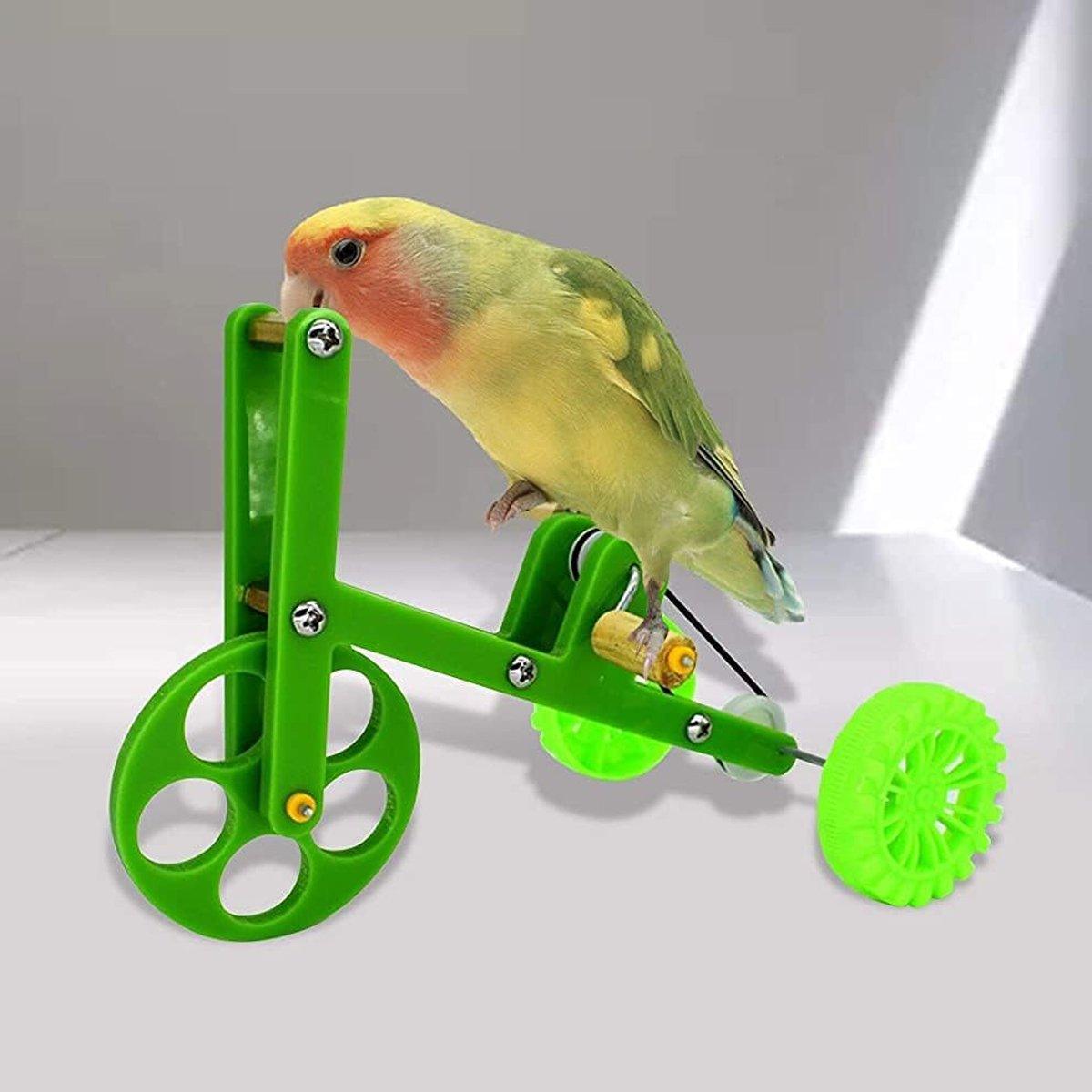 Parrot Training Bicycle Toy for Small & Medium Birds