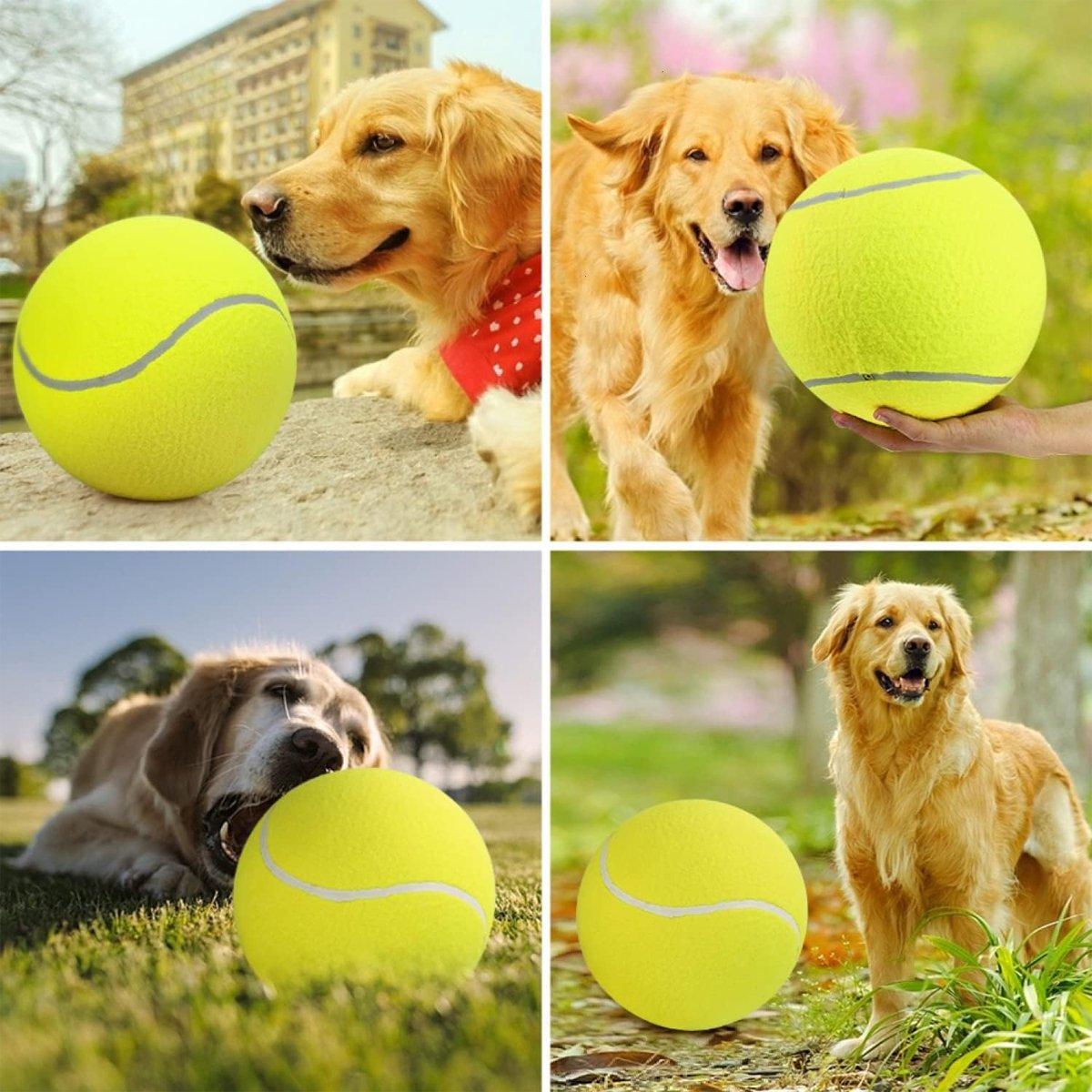 Dog Toy Tennis Ball Safe & Durable Fetch Ball for Small Dogs