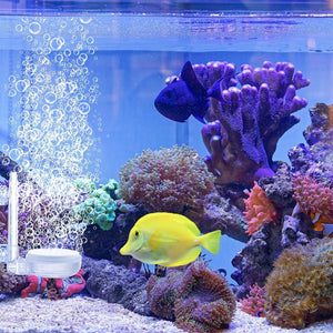 Aquarium Air Stones Quiet Bubble Stone Aerator Head Fish Tank Oxygen Pump Nano Air Disc Atomizer