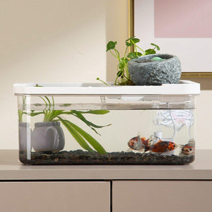 Tabletop Aquarium Landscape Fish Ecological Filter Feeding Basin for Home Decor