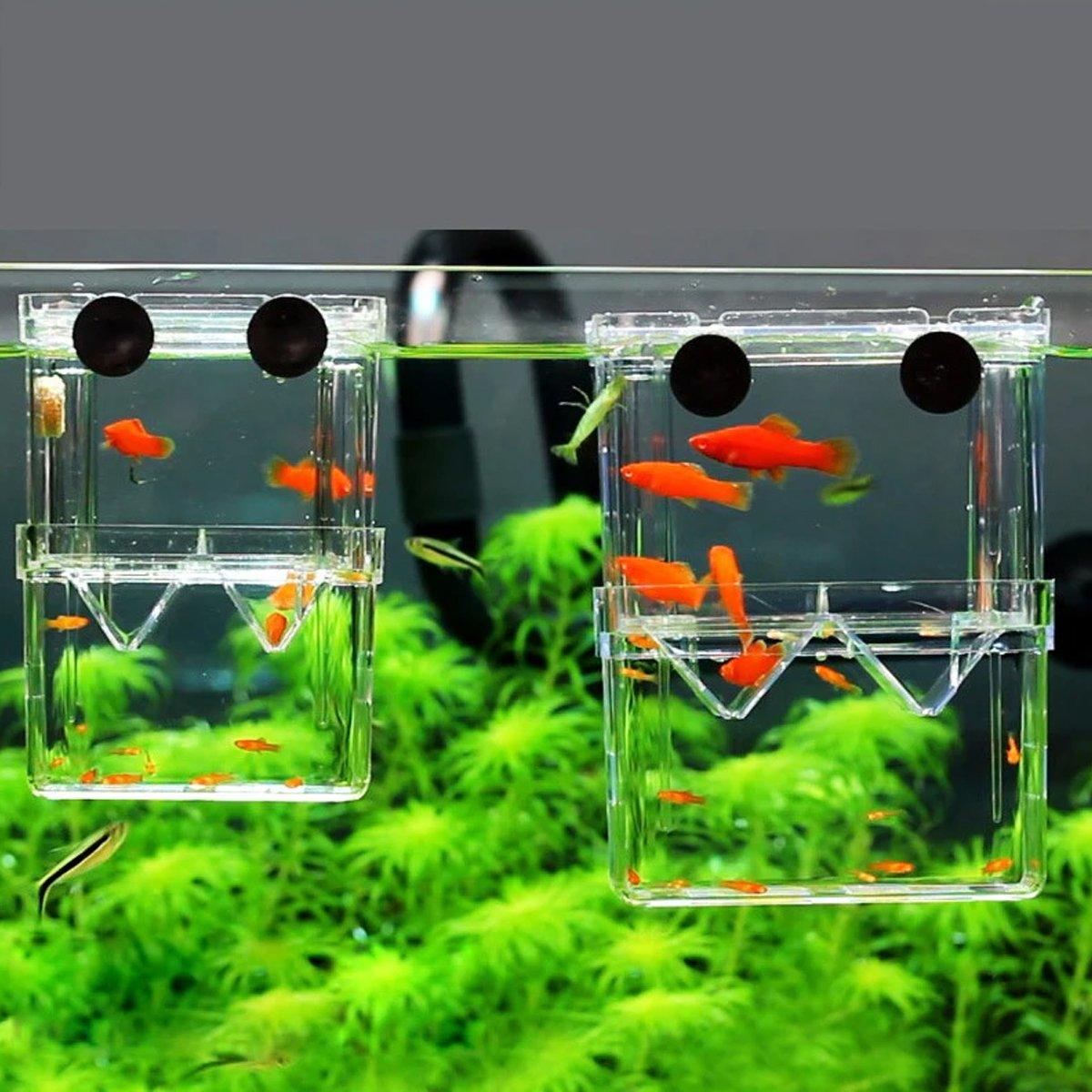 Guppy Breeding Aquarium Fish Tank Hatchery Isolation Breeder Rearing Box