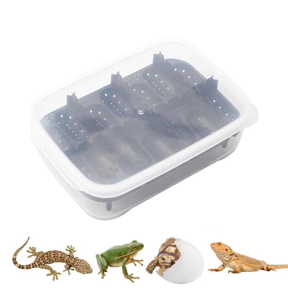 14 Grids Reptile Egg Incubator Secure Hatch Box for Lizards & Turtles