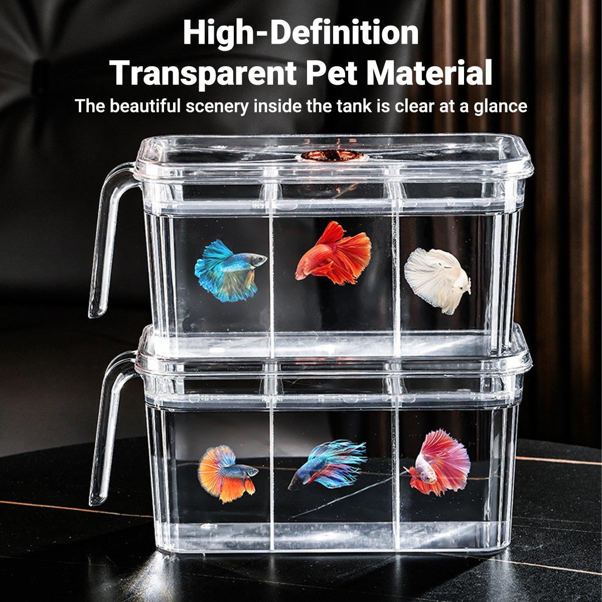 Desktop Fish Tank with Three-Division Design Compact & Stylish Aquarium