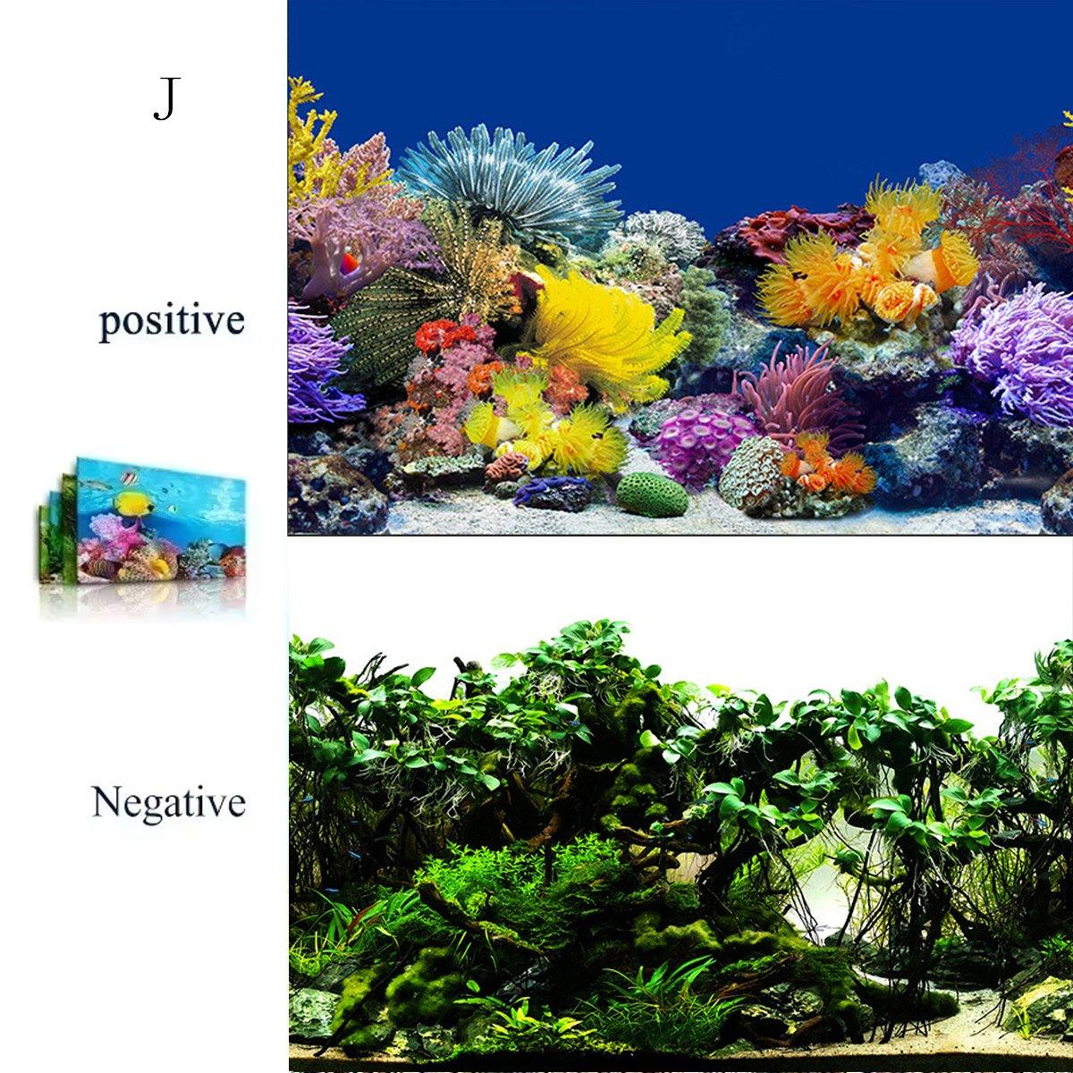 Double-Sided 3D Fish Tank Background Realistic PVC Aquarium Décor