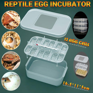 Reptile Pet Egg Incubator for Hatching High Quality Home Use Reptile Care