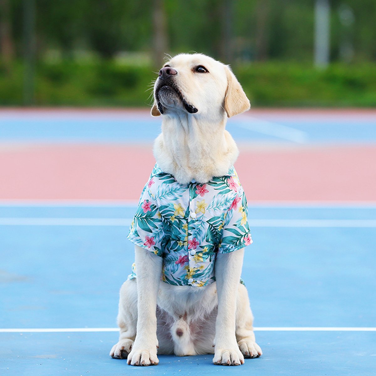 Pet Clothes Cat Dog Spring Summer Dog Hawaiian Shirt