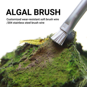 Landscape Stone Cleaning Brush Algae Brush Water And Grass Landscape Brush