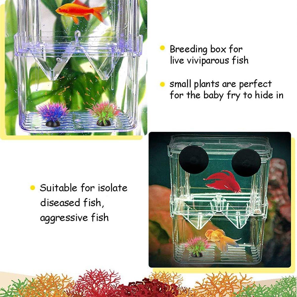 Guppy Breeding Aquarium Fish Tank Hatchery Isolation Breeder Rearing Box