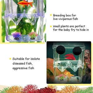 Guppy Breeding Aquarium Fish Tank Hatchery Isolation Breeder Rearing Box