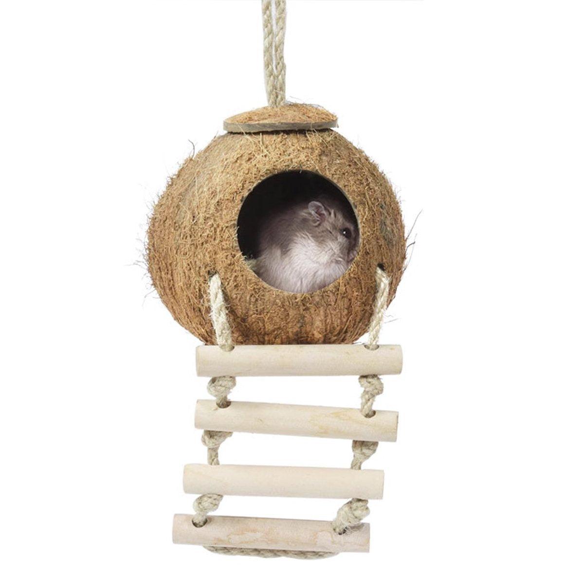 Natural Coconut Shell Bird Nest Safe & Cozy Bird House