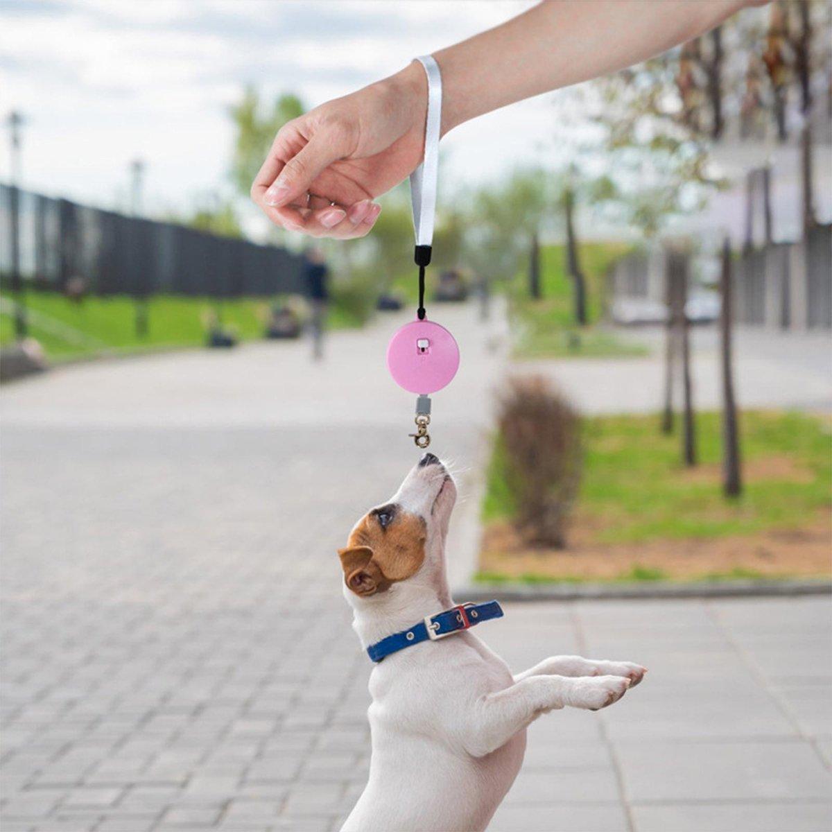 Pet Retractable Traction Rope Durable Dog Leash with 360° Buckle Easy Control