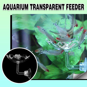 Aquarium Fish Tank Shrimp Food Feeder Clear Glass Feeding Dish Fish Tank Feeder