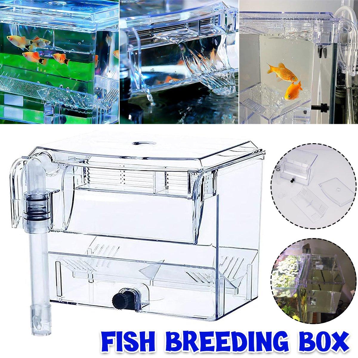 Durable Outboard Fish Isolation Box for Breeding and Protection