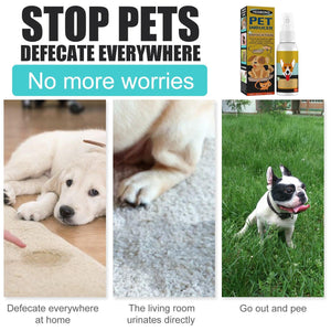 Cat And Dog Defecation Positioning Inducer