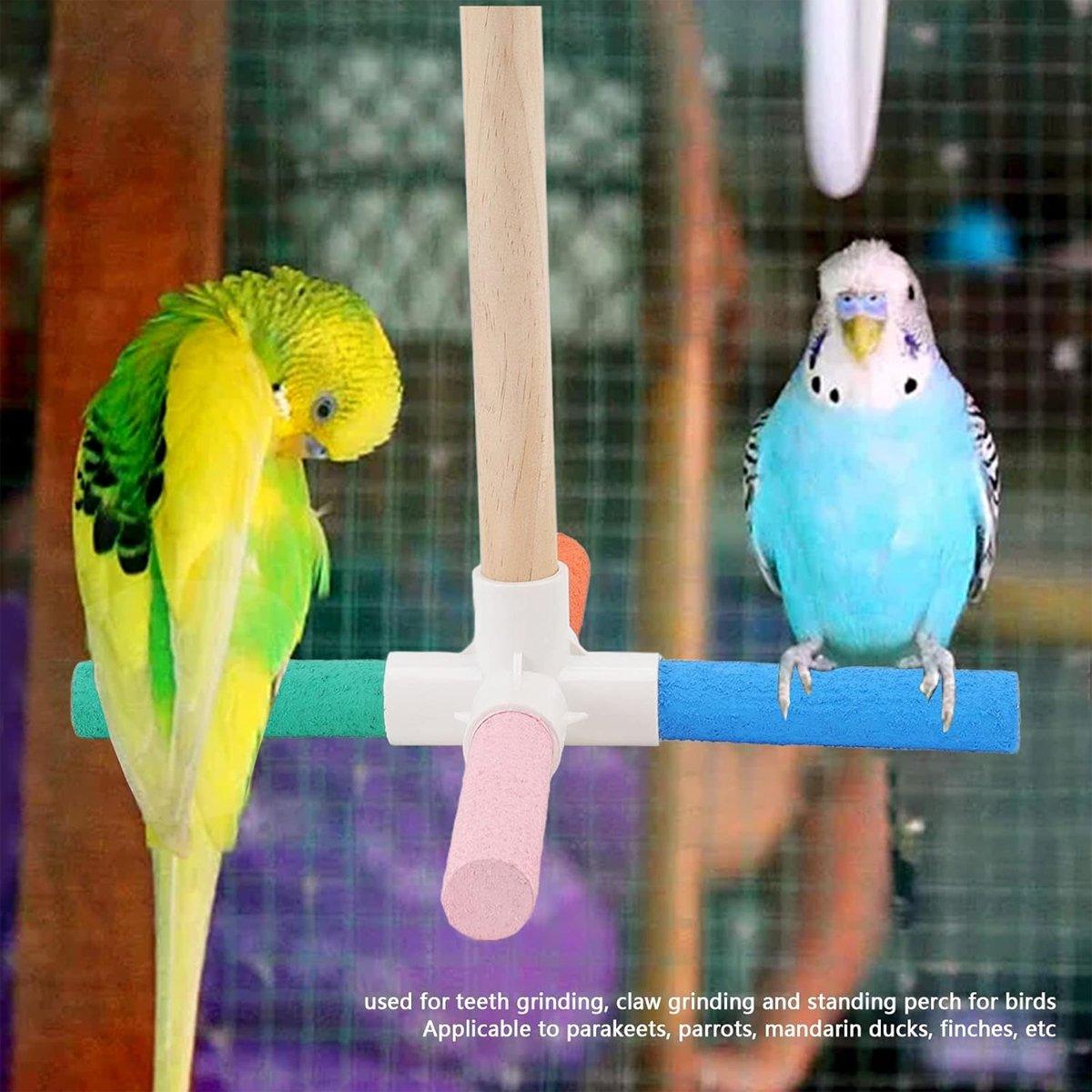 Colourful Parrot Toy Bird Stand for Claw Grinding and Play