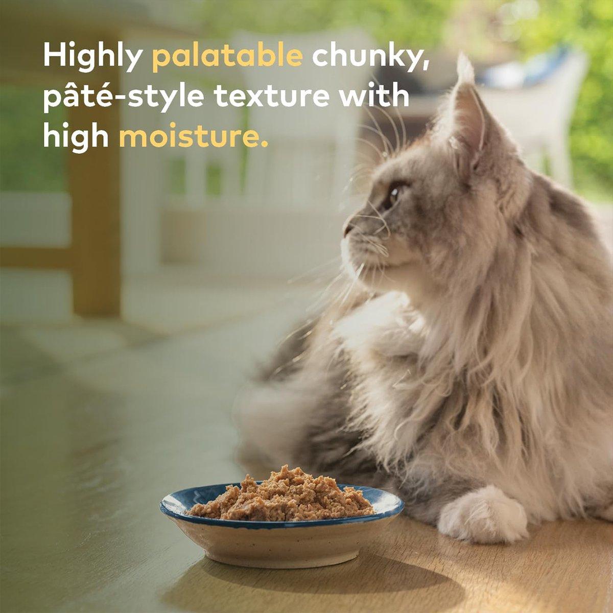 ZIWI Peak Cat Can Chicken | Best Wet Cat Food Australia | 85g