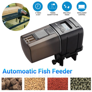 Automatic Fish Feeder Intelligent Control