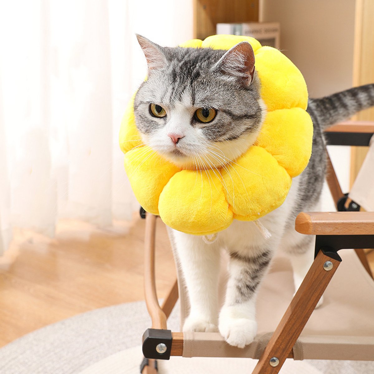 Sunflower Cat Elizabethan Collar Soft Recovery Cone for Cats