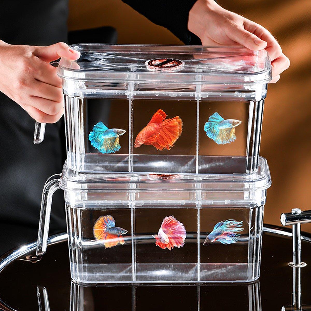 Desktop Fish Tank with Three-Division Design Compact & Stylish Aquarium