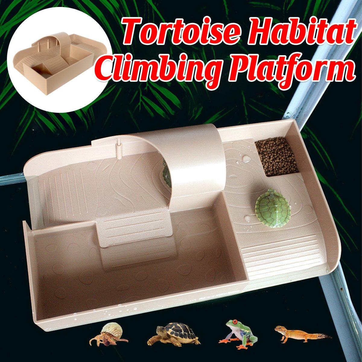 Tortoise Habitat Climbing Platform Durable & Multi-Functional Design