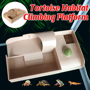 Tortoise Habitat Climbing Platform Durable & Multi-Functional Design