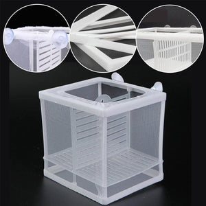 Premium Guppy Breeding Box for Safe Fish Separation