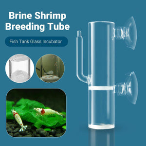 Glass Shrimp Incubator - Efficient CO2 Fertilization System