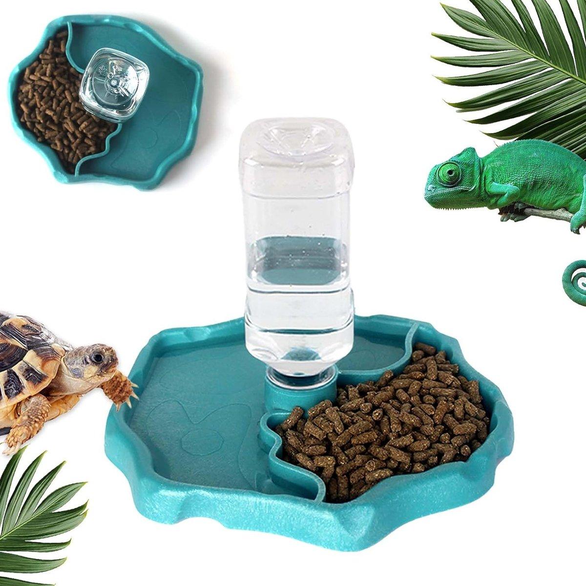 2-in-1 Reptile Feeder & Water Bowl – Dual-Purpose for Small Pets