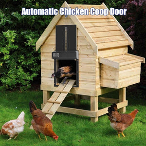 Weatherproof Automatic Stainless Steel Chicken Coop Door