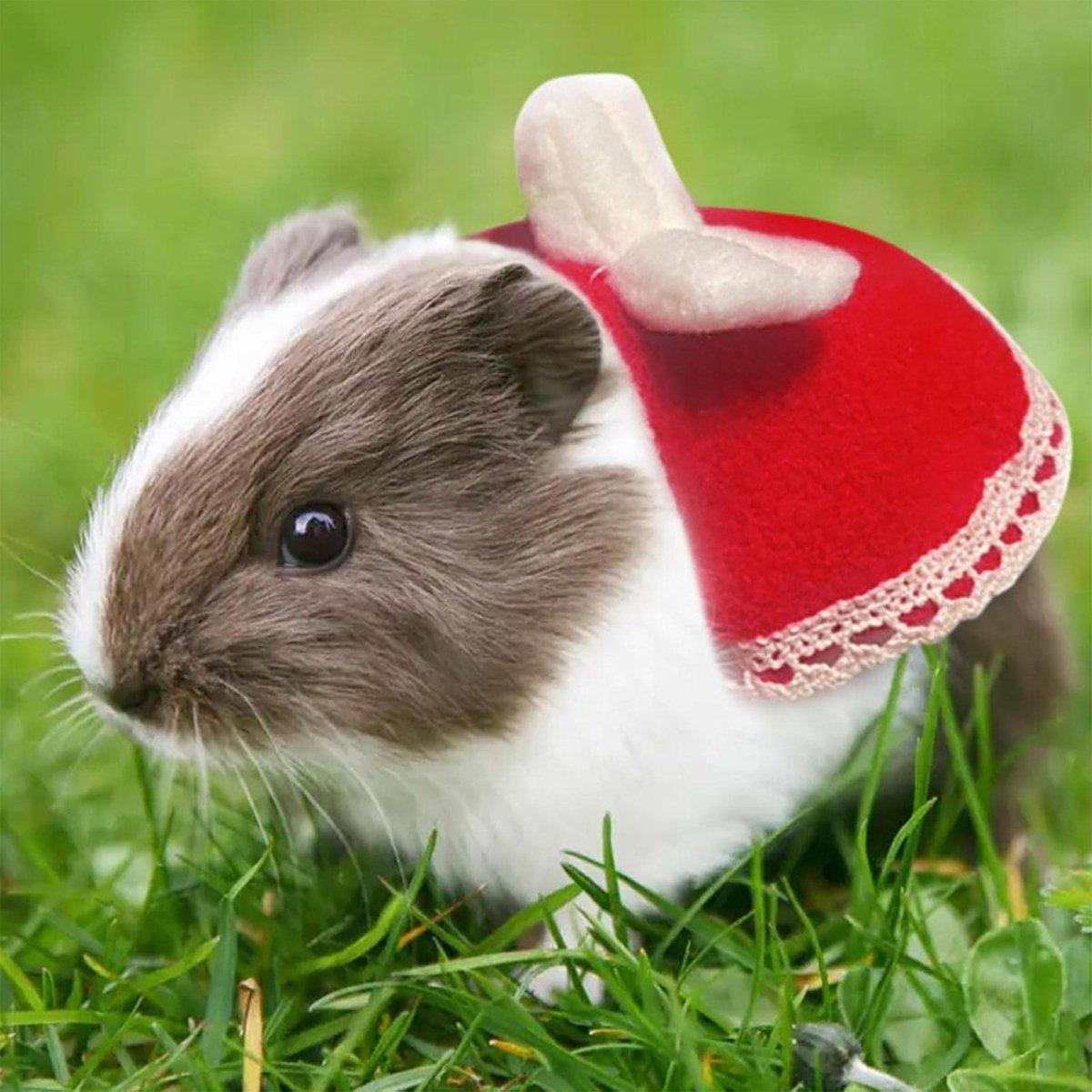 Multi-coloured Bow Hamster Clothes Cute Mini Pet Outfits for Small Squirrel Pets