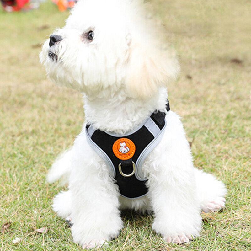 Soft Reflective Dog Vest Harness with Leash for Safe Walks