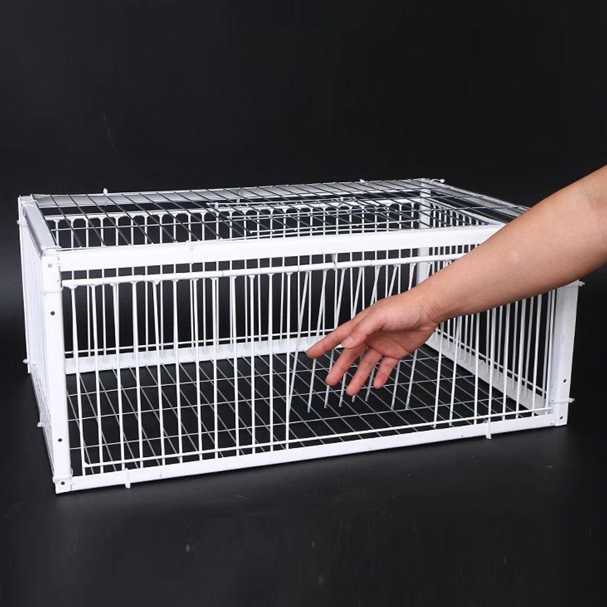 Premium Pigeon Cage with Secure Encrypted Spacing