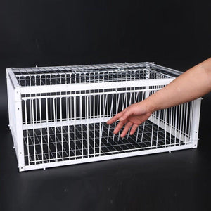 Premium Pigeon Cage with Secure Encrypted Spacing