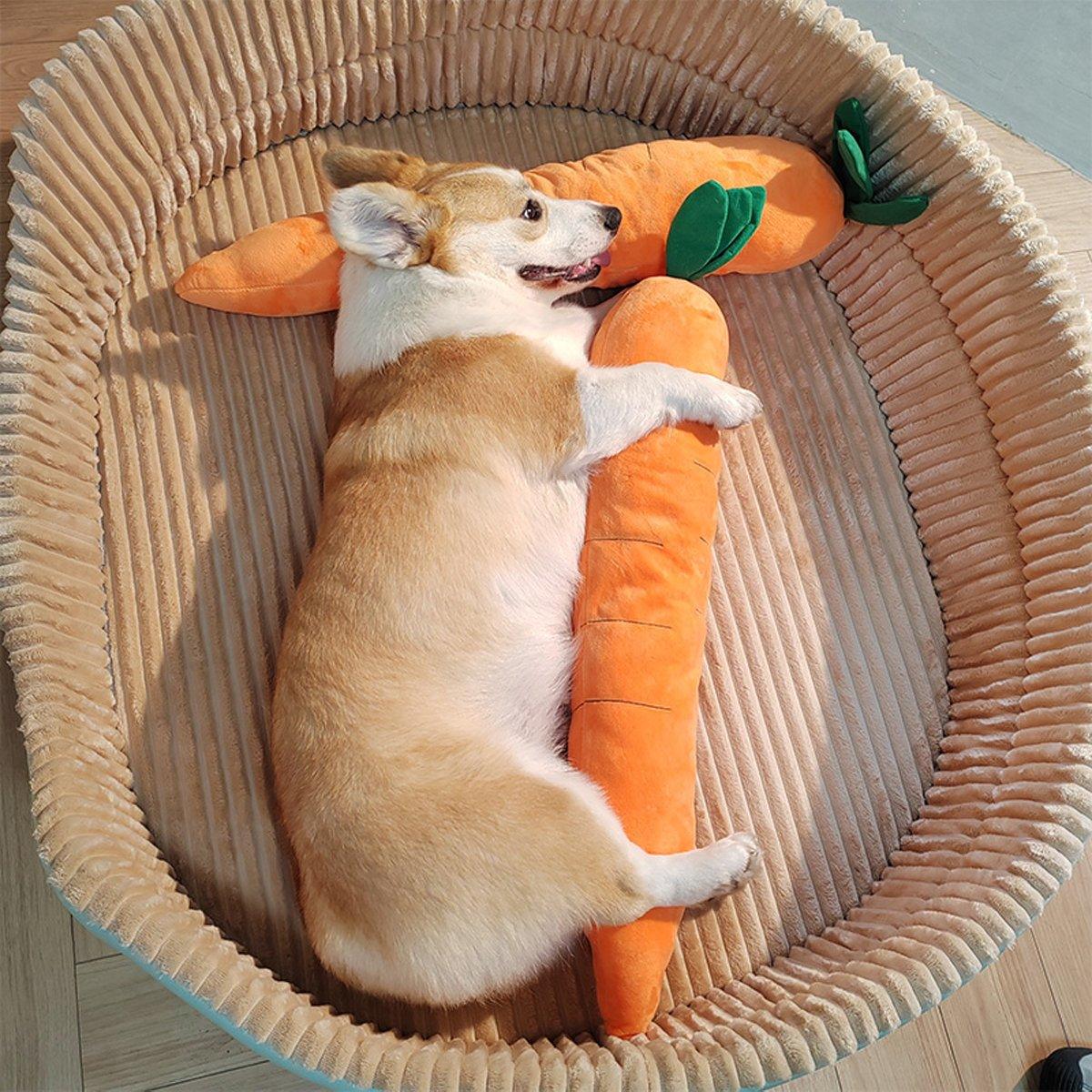 Durable Pet Carrot Toy for Chewing and Play Dog Toy