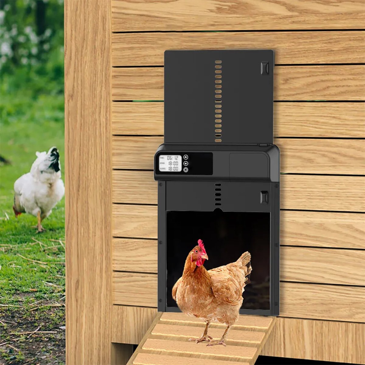 Weatherproof Automatic Stainless Steel Chicken Coop Door