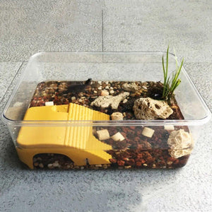 Turtle Sunbathing Tank Plastic Climbing Floating Island Pet Supplies for Reptile