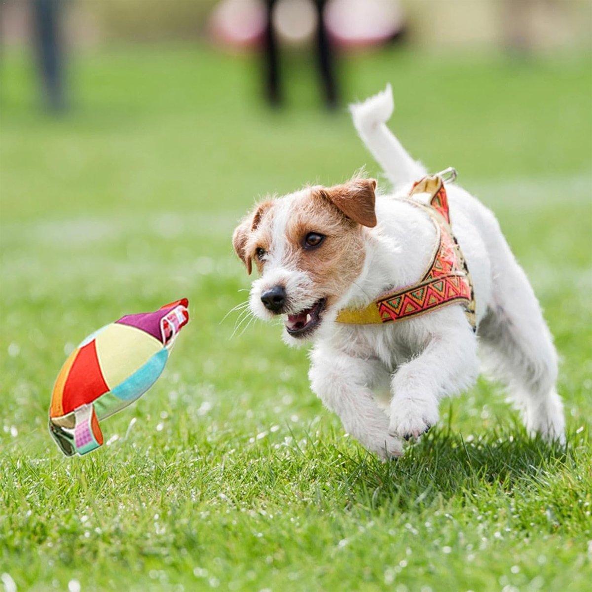 Dog Frisbee Toy Plush Voice Interactive Puppy Frisbee Molar Bite Resistant Pet Side Animal Husbandry Training Special For Dog Training