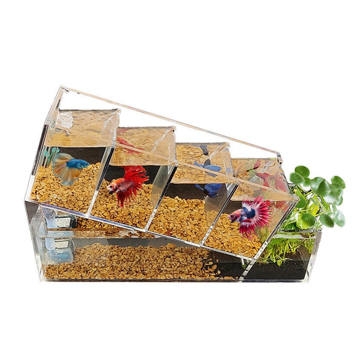 Acrylic Desktop Ecological FishTank Multi-Grid Isolation Self-circulating Water